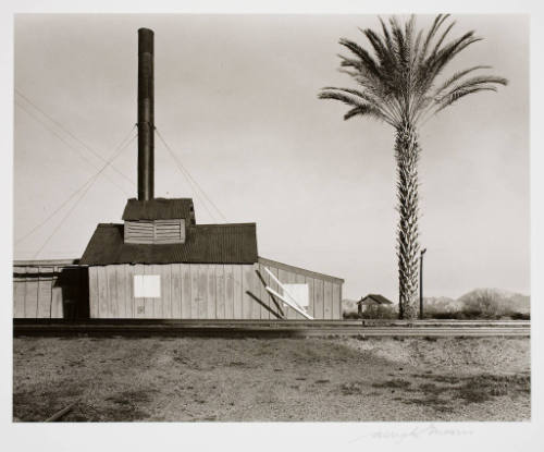Powerhouse and Palm Tree, near Lordsburg, New Mexico