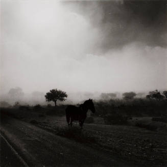 Horse, 1963