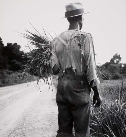 An old time Negro living on a cotton patch, vicinity of Vicksburg, MS,July 1936