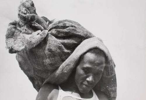 A Negro stevedore with a sack of oysters, Olga, LA, September 1938