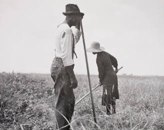 A Negro couple working in the field. They produce little, sell little, and buy..