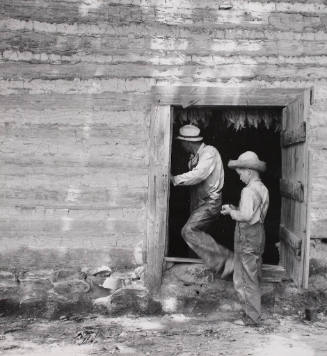 A sharecropper coming out of a tobacco barn in which the tobacco is ...