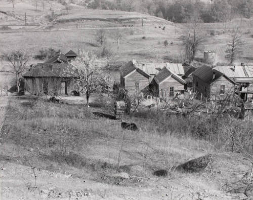 A Rural Slum Area, Vicinity of Birmingham, Alabama, Feb. 1937