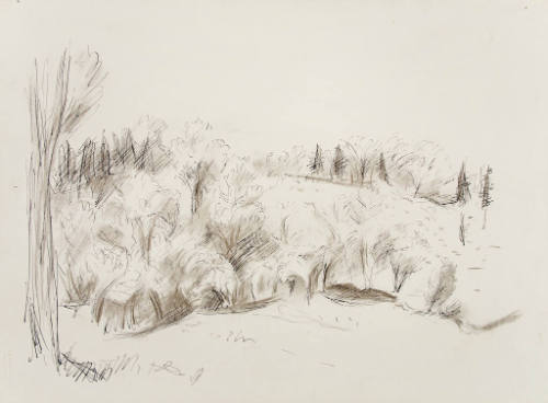 Untitled (landscape)