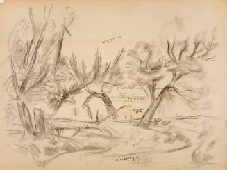 Untitled (landscape study)