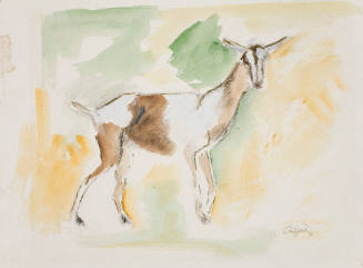 (Brown and white goat on yellow and green background)