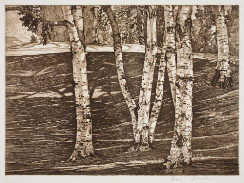 The Birch Grove