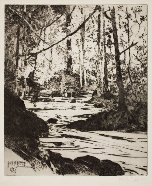 The Brook in the Woods