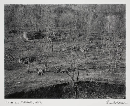 Wisconsin Hillside