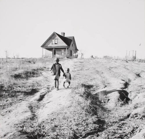 Two Small Negro Children in a Field