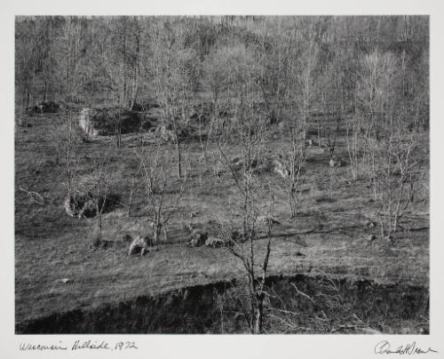 Wisconsin Hillside