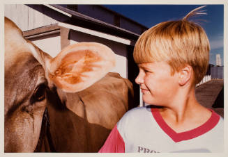 McLeod County Fair