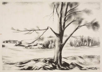 Landscape with Trees and River