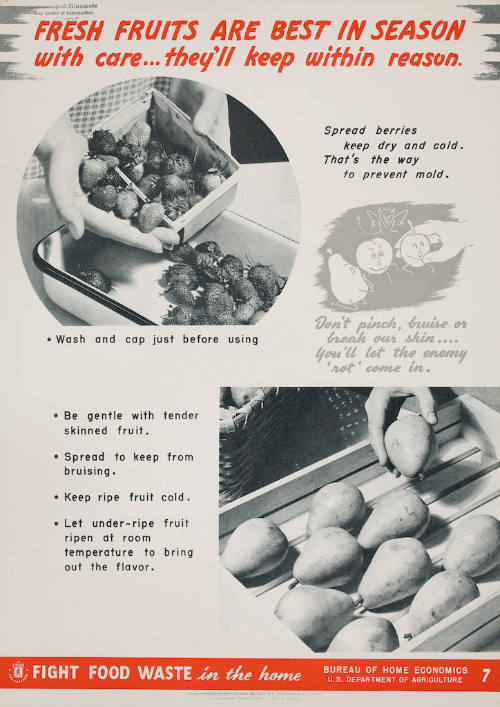 Fight Food Waste in the Home (fruits)