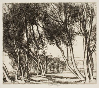 Willows, 1925