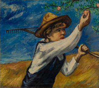 Boy Picking Apples