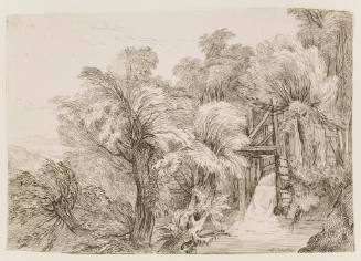 Wooded Landscape