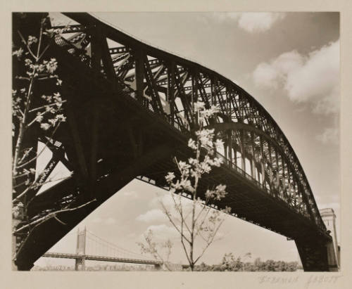 Hell Gate Bridge