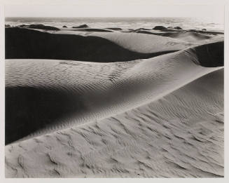 Sand Dunes -- #278