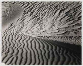 untitled (sand dunes)