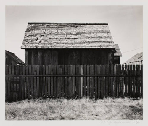 Fence and Shed