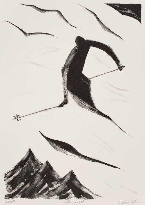 Ski Bird