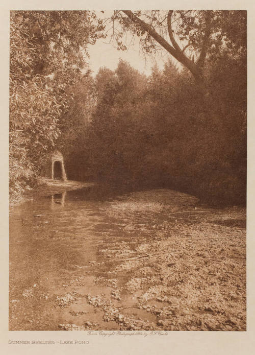 Summer Shelter-Lake Pomo