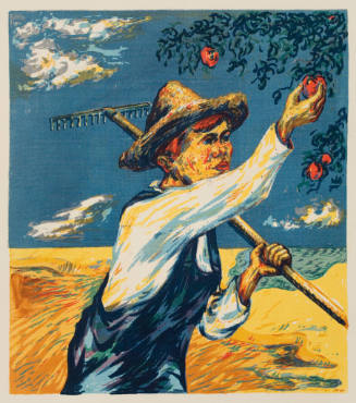 Boy Picking Apples