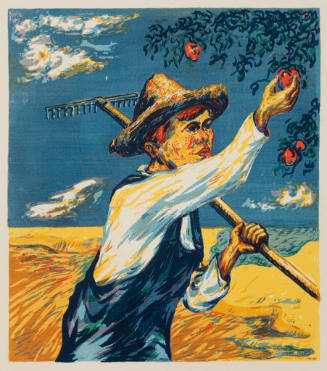 Boy Picking Apples