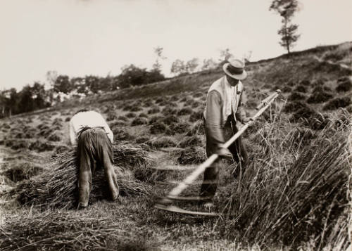 'Faucheurs, Somme'